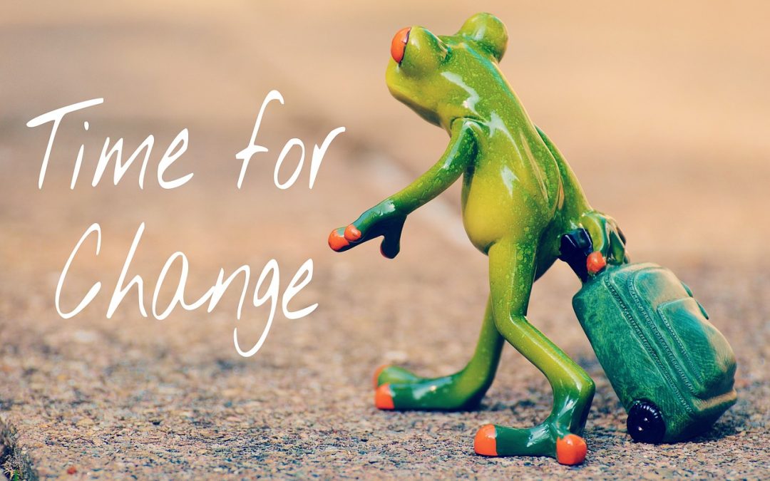 An image of a frog walking away pulling a small travel case with the text 'time for change' next to it